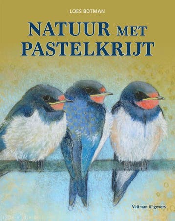 Natuur met pastelkrijt - Loes Botman 9789048319749, Verzenden, Zo goed als nieuw, Loes Botman