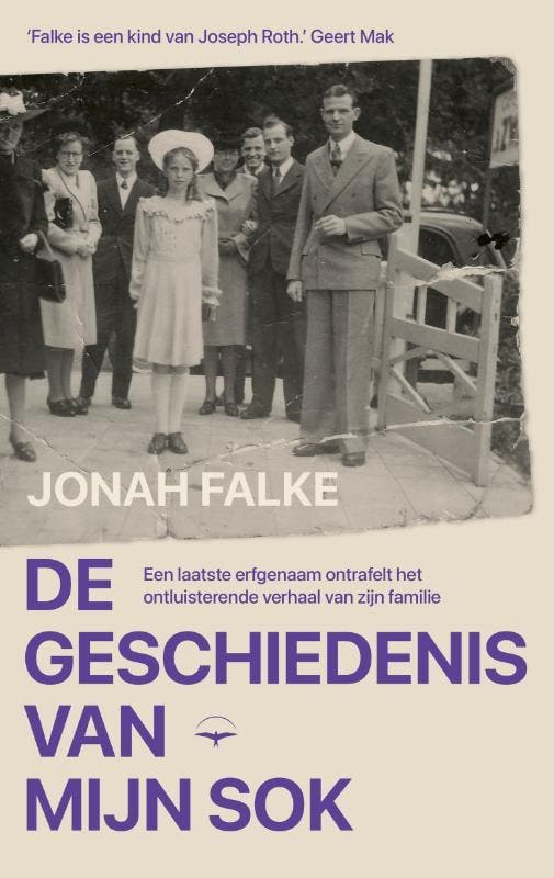 De Geschiedenis Van Mijn Sok | Jonah Falke | Nieuw, Boeken, Biografieën, Nieuw, Ophalen of Verzenden