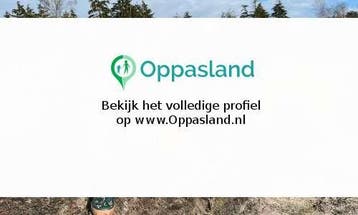Max zoekt een oppas in Ulvenhout voor 2 kinderen., Vacatures