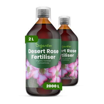 Woestijnroos Vloeibare meststof - 2x1 liter, Verzenden, Mest