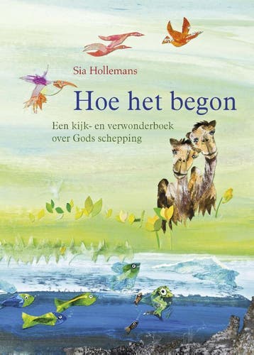 Hoe het begon 9789087182007 Sila Hollemans, Verzenden, Gelezen, Sila Hollemans