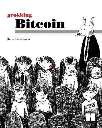 Grokking Bitcoin - Kalle Rosenbaum 9781617294648, Verzenden, Gelezen, Kalle Rosenbaum