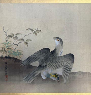 Takagari - Zijde - Tanshinsai Morimichi (Kano Morimichi,