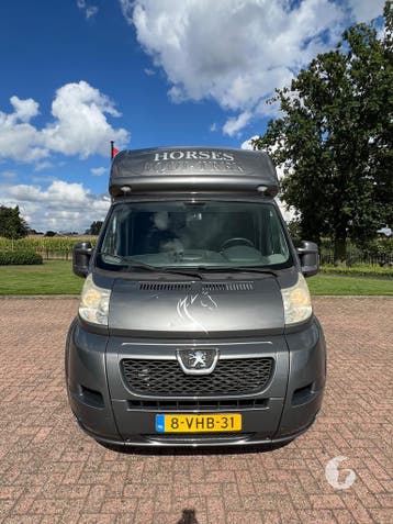 Prachtige Peugeot paardenwagen, slechts 36.000KM!, Ophalen, Zo goed als nieuw, Aluminium, 2-paards trailer