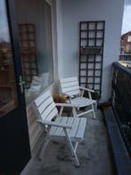 Te huur: Appartement Vredehofweg in Rotterdam, Appartement, Rotterdam, Zuid-Holland