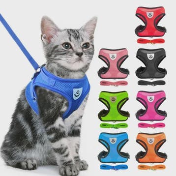 Verstelbaar Katten Tuigje met Lijn - Ademend Mesh Vest voor, Verzenden, Nieuw