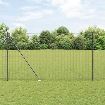 vidaXL Euro-hek met grondpennen 10 x 1,6 m PVC-Coated Staal, Tuin en Terras, Verzenden, Nieuw, IJzer