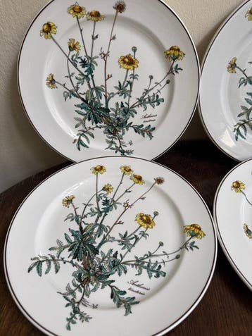 Villeroy & Boch - Bord (4) - Botanica - Porselein - 4