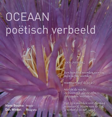 Oceaan - Hans Bouma 9789079872749, Verzenden, Zo goed als nieuw, Hans Bouma