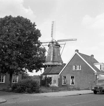 Te koop negatieven uit het ex-JosPe archief. Ook gevraagd, Gelopen