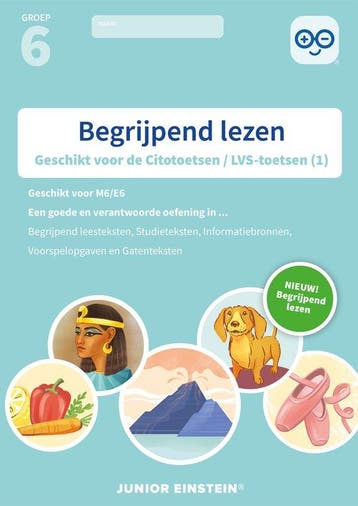 9789492265593 Begrijpend lezen Groep 6 Oefenboek (1), Boeken, Schoolboeken, Verzenden, Zo goed als nieuw