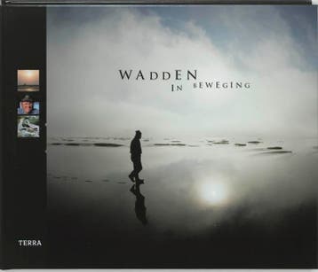 Wadden in beweging - F. Buissink 9789058971746, Verzenden, Gelezen, F. Buissink