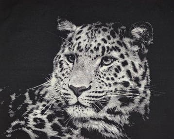 ARAZZO Leopardo delle Nevi in Gobelinweefsel - 110x140 cm