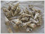 Cerithium Nodulosum schelpen 1 kilo, Ophalen of Verzenden, Nieuw