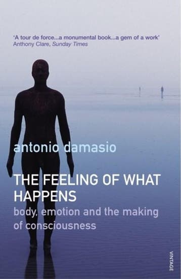 The Feeling Of What Happens | 9780099288763 | Antonio, Zo goed als nieuw, Antonio Damasio