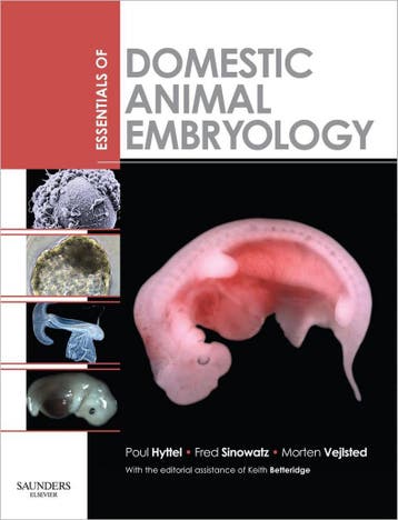 Essentials Of Domestic Animal Embryology - Poul Hyttel, Verzenden, Gelezen, Poul Hyttel