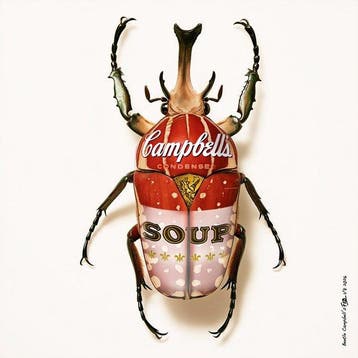 F2B - Beetle Campbells 1I8