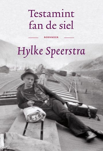 9789056157630 Testamint fan de siel | Tweedehands, Verzenden, Zo goed als nieuw, Hylke Speerstra