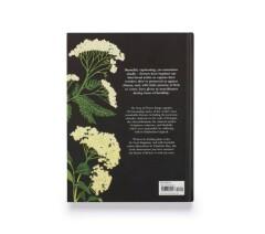 The Story of Flowers 9780857829207 Noel Kingsbury, Verzenden, Zo goed als nieuw, Noel Kingsbury