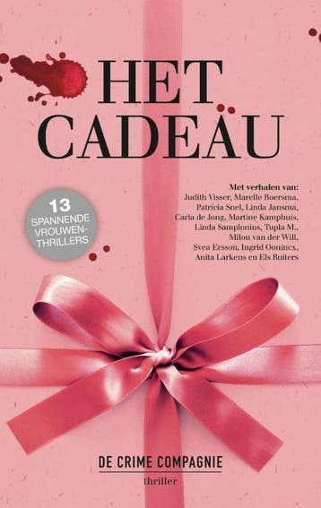 Het cadeau - Judith Visser 9789461091598, Verzenden, Gelezen, Judith Visser