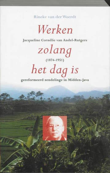 Werken zolang het dag is - R. van der Woerdt 9789043508209, Verzenden, Gelezen, R. van der Woerdt