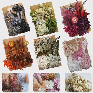 Set Gedroogde Bloemen & Hydrangea voor Ambacht & Decoratie, Verzenden, Nieuw
