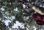 Als Je Verzint, Kan Je Alles 9789078381051 E. Snoep, Boeken, Verzenden, Zo goed als nieuw, E. Snoep