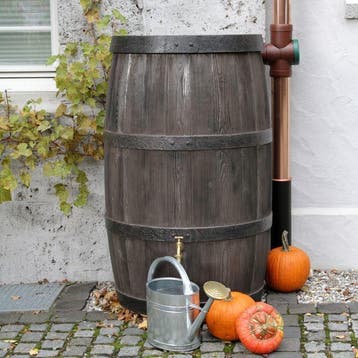Regenton 500 liter Bourgondië, Nieuw