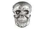 Exclusief wandsculptuur SKULL XXL 40cm zilveren decoratieve, Ophalen of Verzenden, Nieuw