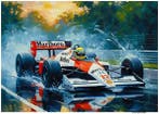 Ayrton Senna: De King of Rain 1988 Formula One World, Verzamelen, Nieuw