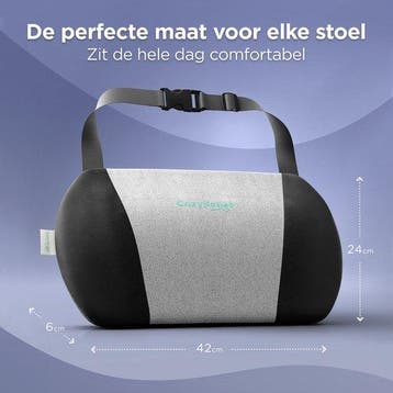 2dekans | CozySense® Rugsteun – Ergonomisch Rugkussen met, Ophalen of Verzenden, Zo goed als nieuw