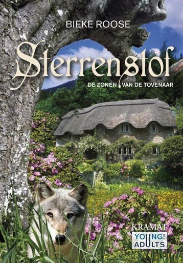 De zonen van de tovenaar / Sterrenstof / 3 - Bieke Roose, Verzenden, Gelezen, Bieke Roose