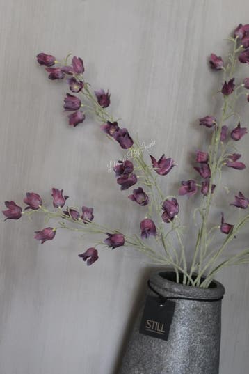 Brynxz Mini cora bell Purple 105 cm, Ophalen of Verzenden, Nieuw