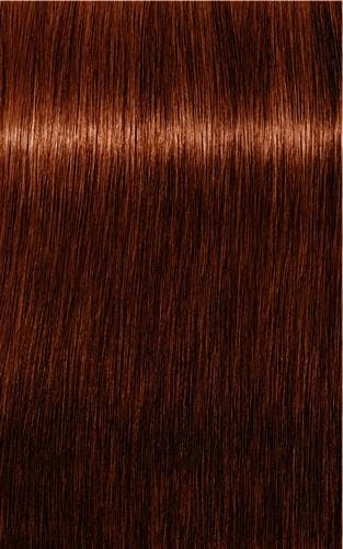 Schwarzkopf Professional Igora Royal Absolutes 60ml, Verzenden, Nieuw
