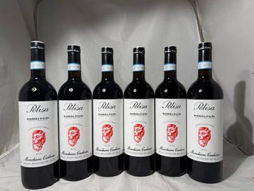 2021 Monchiero Carbone - Pelisa - Piëmont DOC - 6 Flessen, Nieuw
