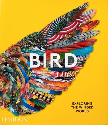 Bird | Phaidon Editors; Katrina Grouw; Jen Lobo | Nieuw, Ophalen of Verzenden, Nieuw, Phaidon Editors; Katrina Grouw; Jen Lobo