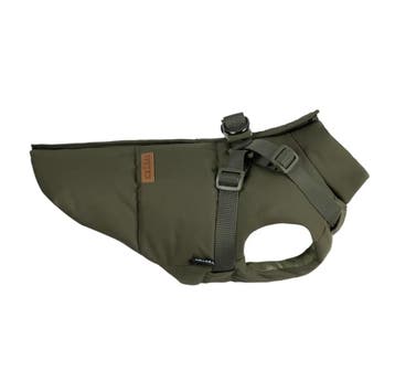Warme  Hondenjas  2.0 groen (Jassen, Hondenkleding), Ophalen of Verzenden, Nieuw, Hondenregenjas