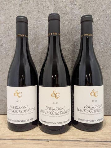 2021 Domaine Sylvain Cathiard & Fils - Bourgogne Hautes, Nieuw