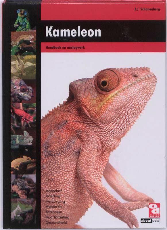 Kameleon / Over Dieren 9789058216182 F.J. Schonenberg, Boeken, Hobby en Vrije tijd, Gelezen, Verzenden