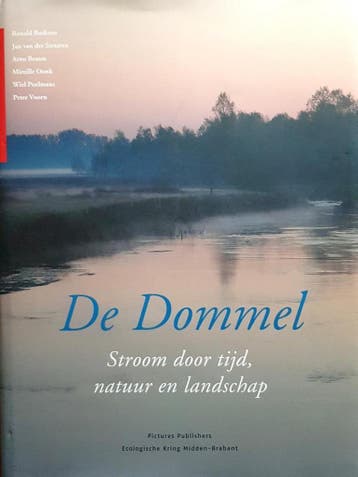 De Dommel - Ronald Buskens 9789073187740, Verzenden, Zo goed als nieuw, Ronald Buskens
