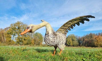 Figuur - Levensechte gans - IJzer, Metaal