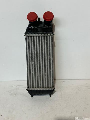 Peugeot Citroen Opel Intercooler 9803900780, Ophalen, Gebruikt, Peugeot