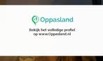 Ik ben Demi, 20 jaar oud en ik zoek oppaswerk in Dordrecht.