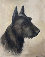 Britse school (XIX) - Ritratto di Scottish Terrier