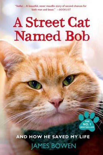 A Street Cat Named Bob and How He Saved My Life - James, Verzenden, Gelezen, James Bowen