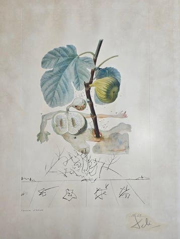 Salvador Dali (1904-1989) - Flordali. Homme figuier