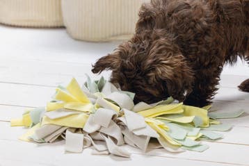 Beeztees Puppy Sniffy Snuffelmat - Puppy Speelgoed - Puppy, Ophalen of Verzenden, Zo goed als nieuw