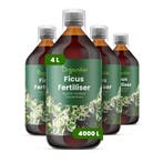 Ficus Vloeibare meststof - 4x1 liter, Verzenden, Mest