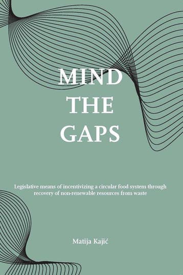 Mind the gaps! - Matija Kaji 9789462513433, Verzenden, Zo goed als nieuw, Matija Kaji
