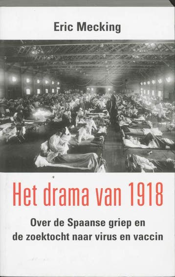 Het drama van 1918 - E. Mecking 9789053305393, Boeken, Verzenden, Zo goed als nieuw, E. Mecking
